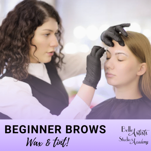 Beginner Brows – Wax & Tint Theory